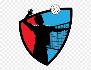 Волейбол логотип