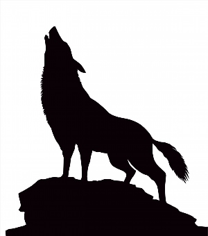 Наклейка волк