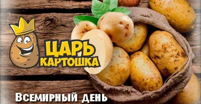 Дни мая для картофеля. День картофеля. Международный день картофеля. День картофеля 30 мая. Открытки день картошки.