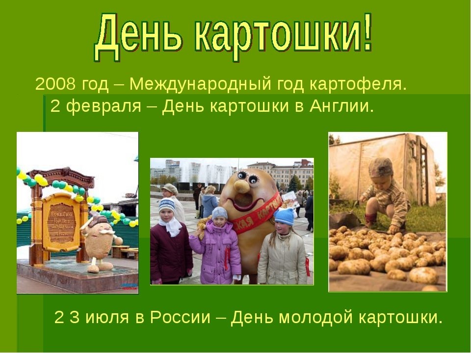 День картошки. Всемирный день картофеля. День картошки в России. Поздравление с днем картошки. Когда день картошки