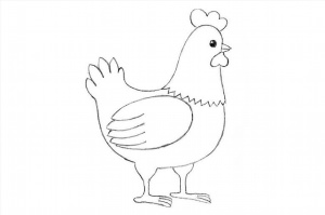 Легкий рисунок курица