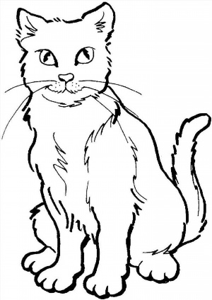 Рисунки раскраски кота