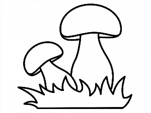 Рисунки раскраски гриб