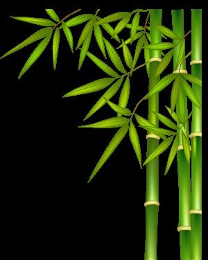 Клипарты бамбук