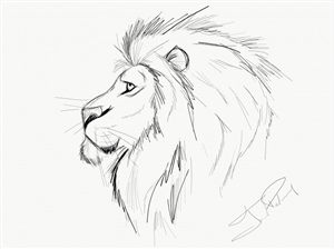 Рисунок карандашом лев