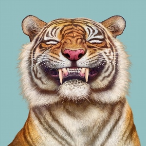 Смешной тигр рисунок