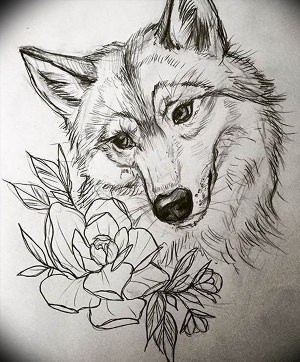Рисунок волчицы тату