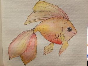 Рисунки карандашом золотая рыбка