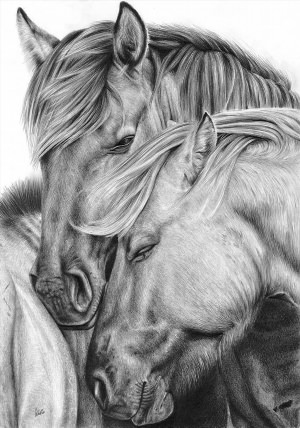 Лошадь рисунок карандашом сложные