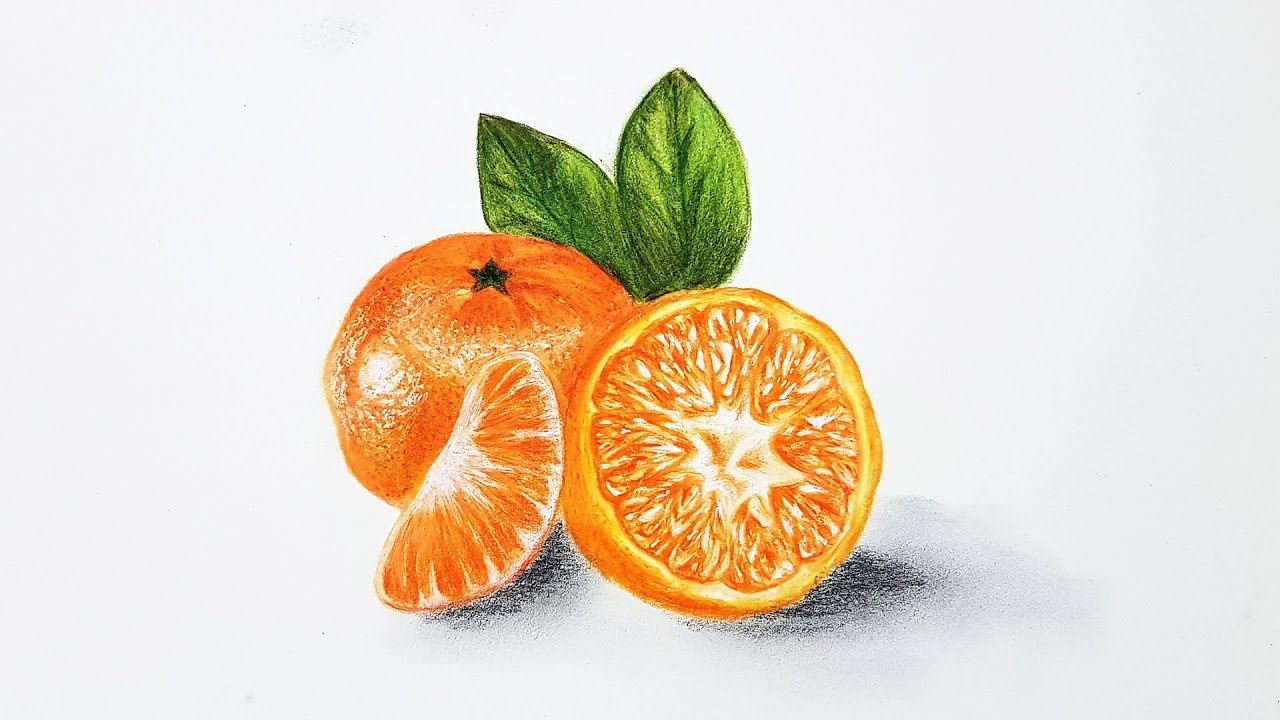 Мандарин графика. Мандарин рисунок. Апельсин рисунок. Апельсин акварелью. Апельсин для рисования.