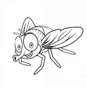Рисунки раскраски муха