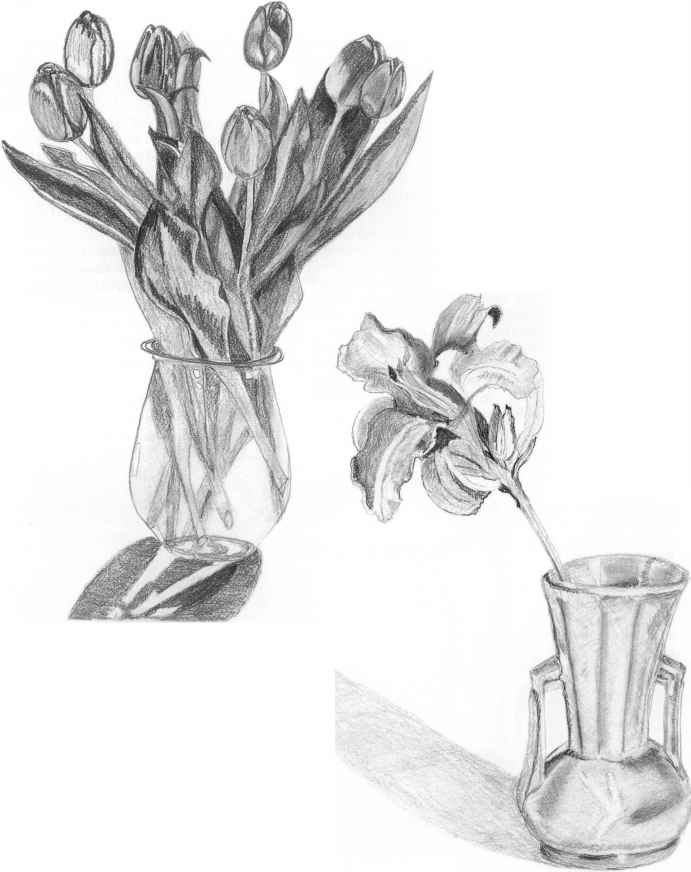 Ваза с тюльпанами рисунок. Натюрморт с цветами карандашом. Наброски цветов в вазе. Цветы рисунок карандашом. Натюрморт с вазой карандашом.