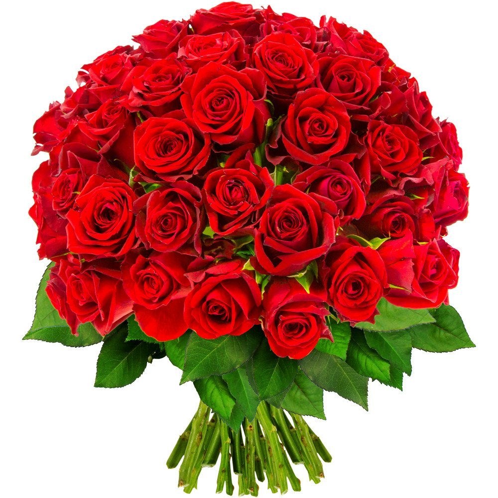 Красивые стикеры для ватсап с днем рождения. Красивый букет роз. Шикарный букет роз. Огромный букет цветов. Красивые букеты из роз.