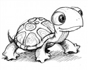 Рисунки карандашом черепаха