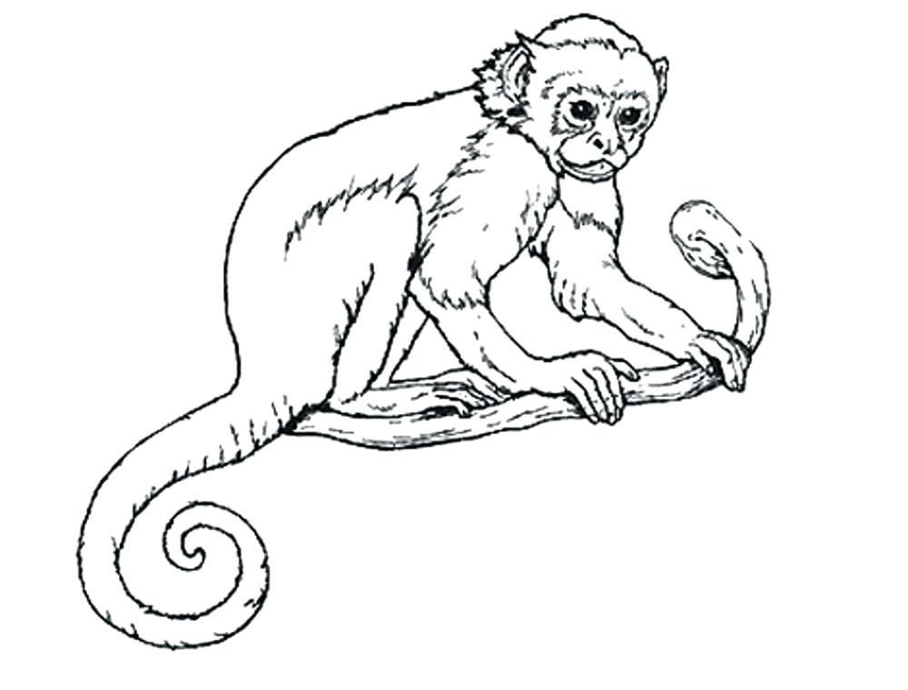 Рисунок про обезьянку житков. Житков про обезьянку 3 класс. Обезьяна раскраска. Обезьяна раскраска для детей. Про обезьянку Житков раскраска.