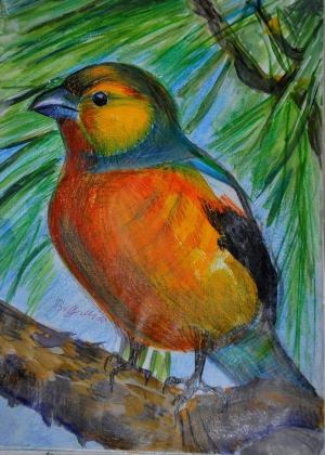 Рисунки птиц гуашью