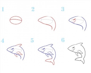 Как нарисовать акуленка