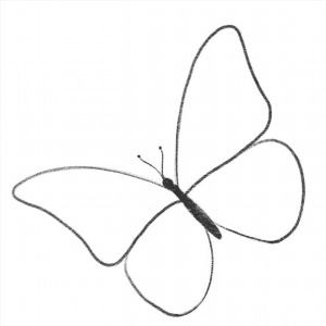 Легкие рисунки бабочка