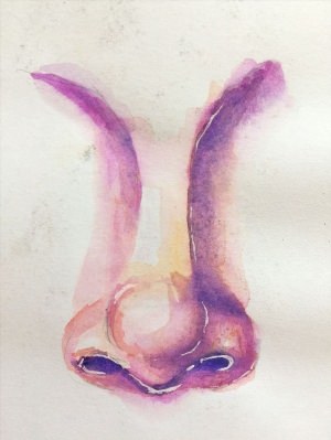 Рисунок носа акварелью