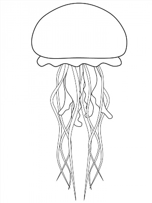 Легкий рисунок медуза
