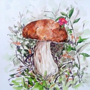Рисунок грибов красками