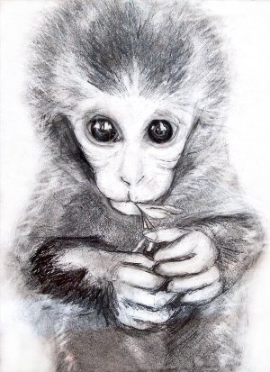 Рисунки обезьяна ручкой