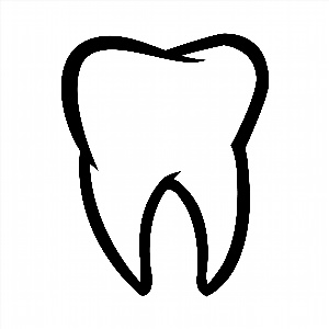 Контурный рисунок зуб