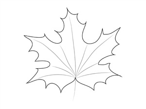Рисунки карандашом кленовый лист
