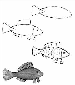 Как нарисовать рыбалку