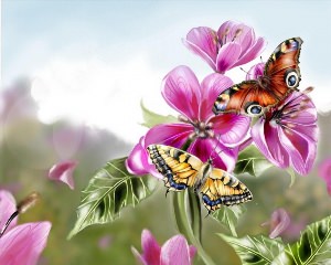 Бабочка открытка