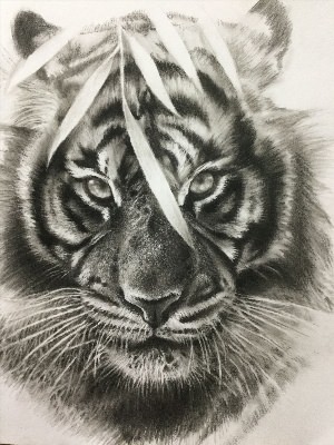 Тату рисунок тигрица