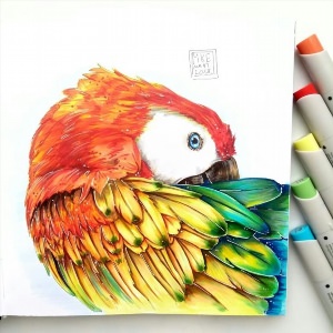 Рисунки маркерами попугай