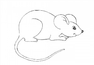 Рисунки карандашом мышь