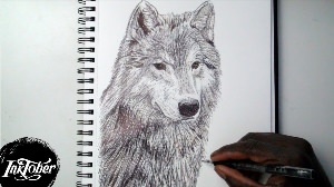 Рисунки гелевой ручкой волк