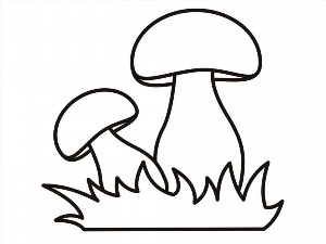 Белый гриб контурный рисунок