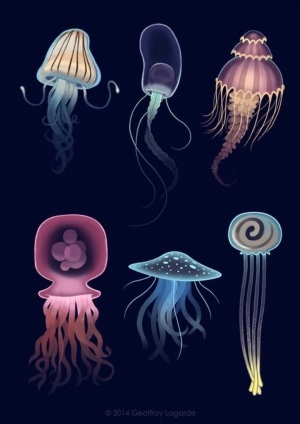 Медуза арт рисунок
