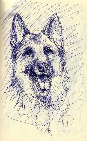 Рисунки ручкой собака