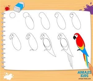 Как нарисовать попугайчика