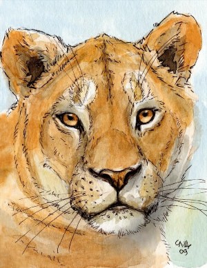 Рисунки львиц акварелью