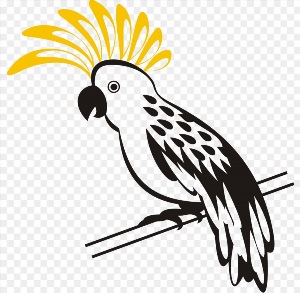 Векторный рисунок попугай