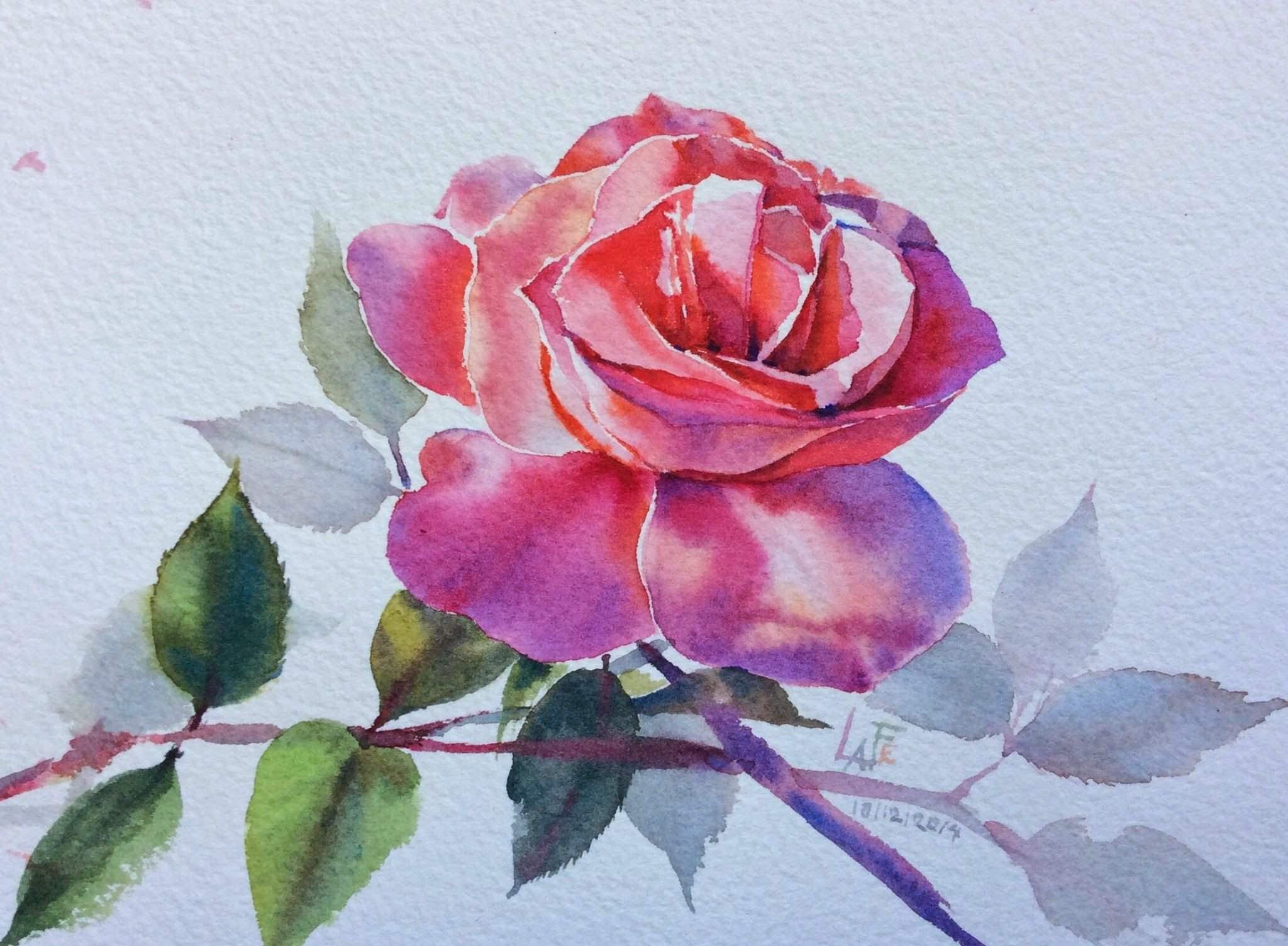 Акварельные розы. Акварельные розы тайского художника лафе. Акварель Sattha Homsawat (Lafe). Ла Фе картины.