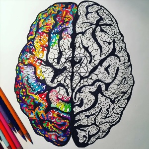 Мозг иллюстрация