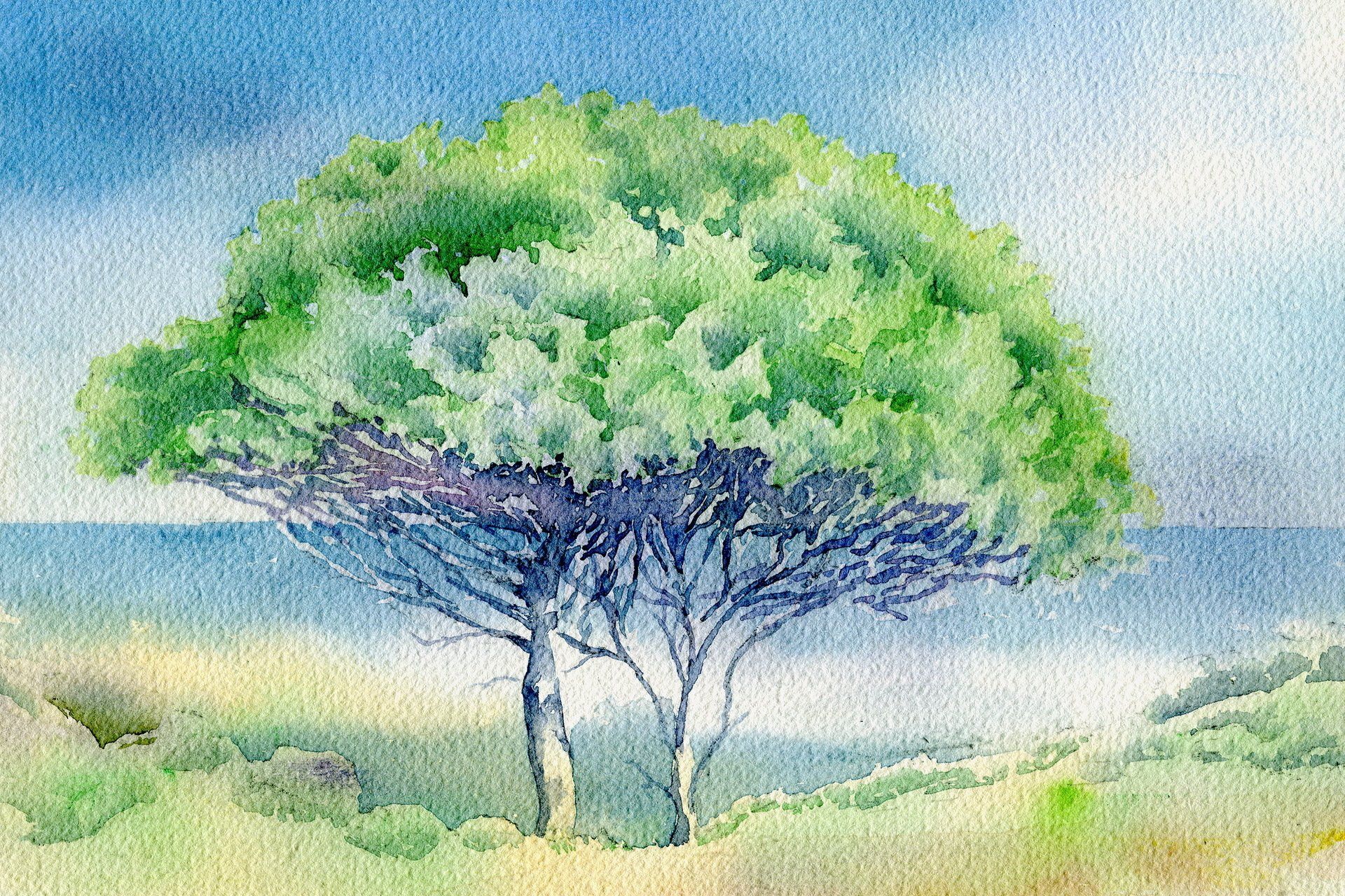 Акварельные деревья. Деревья акварелью. Пейзаж цветными карандашами. Летний пейзаж цветными карандашами. Рисование деревьев акварелью.