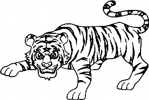 Рисунок тигра раскраска