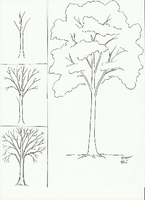 Дерево простой рисунок