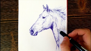 Рисунки коня ручкой
