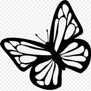 Векторный рисунок бабочка