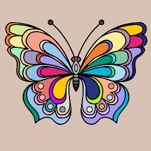 Рисунок бабочки легкий