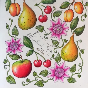 Красивые рисунки фруктов