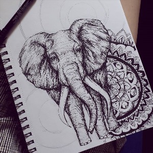 Рисунки слон ручкой